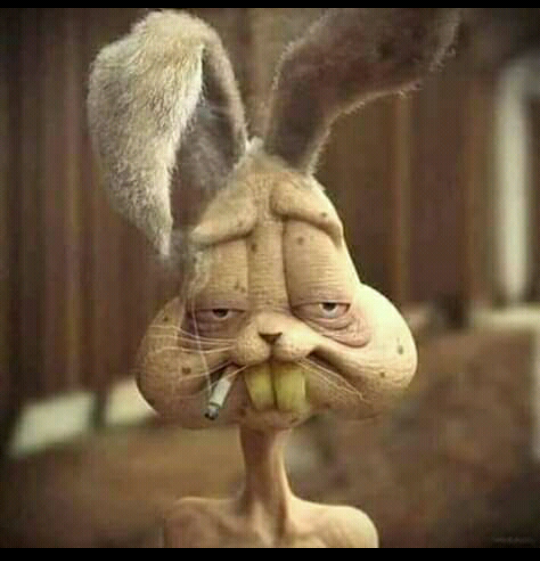 Mostafaatef254