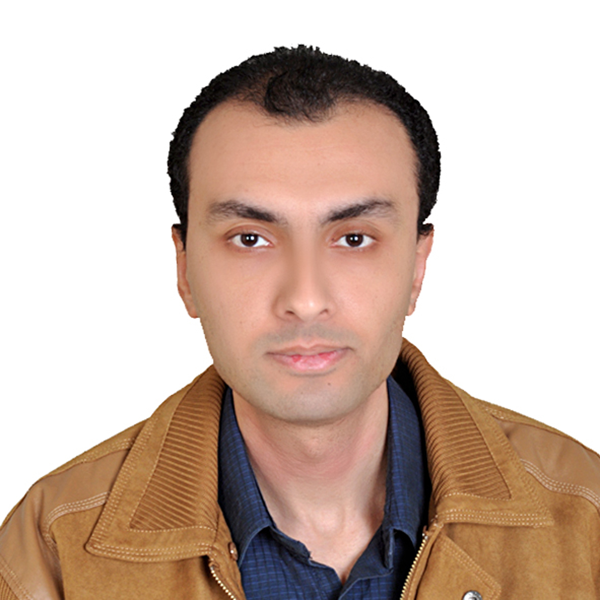 Full stack software developer